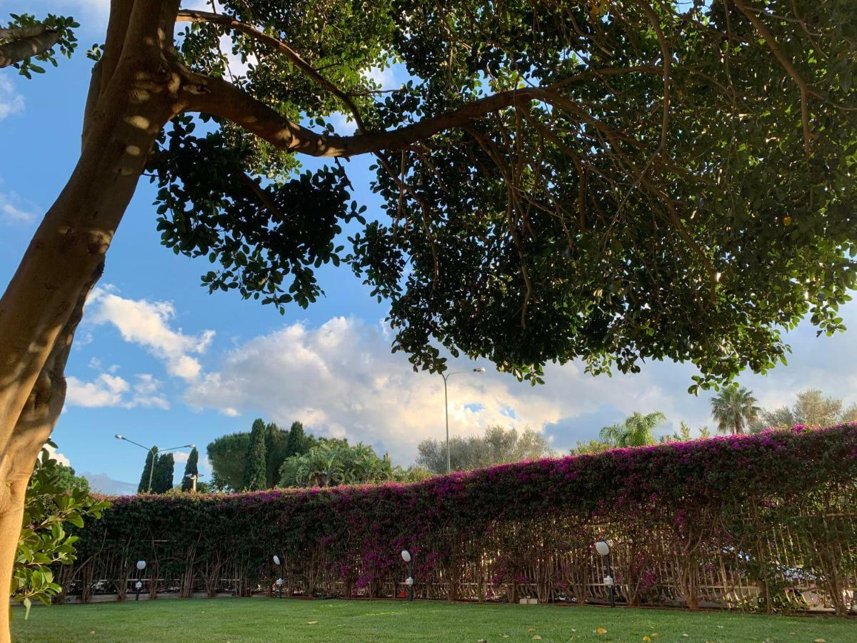 ホテル Il Giardino Di Venere モンデッロ エクステリア 写真